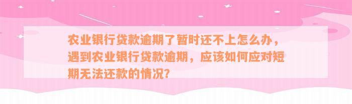 农业银行贷款逾期了暂时还不上怎么办，遇到农业银行贷款逾期，应该如何应对短期无法还款的情况？