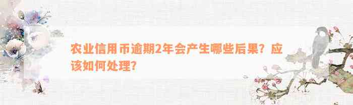 农业信用币逾期2年会产生哪些后果？应该如何处理？