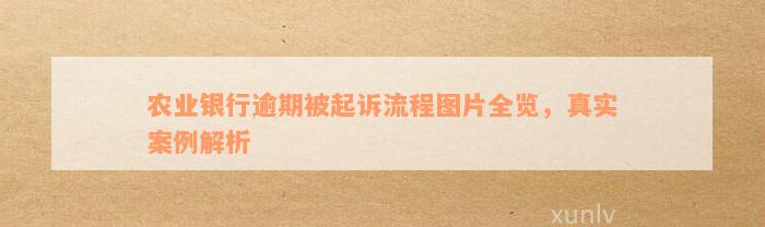 农业银行逾期被起诉流程图片全览，真实案例解析