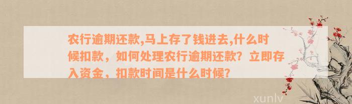 农行逾期还款,马上存了钱进去,什么时候扣款，如何处理农行逾期还款？立即存入资金，扣款时间是什么时候？