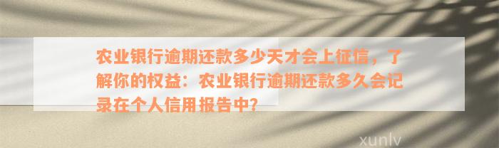 农业银行逾期还款多少天才会上征信，了解你的权益：农业银行逾期还款多久会记录在个人信用报告中？