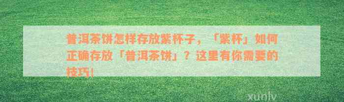 普洱茶饼怎样存放紫杯子，「紫杯」如何正确存放「普洱茶饼」？这里有你需要的技巧！