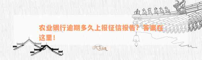 农业银行逾期多久上报征信报告？答案在这里！