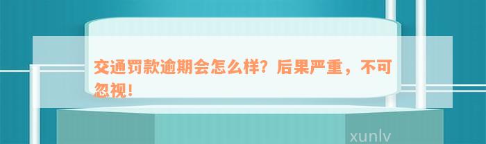 交通罚款逾期会怎么样？后果严重，不可忽视！