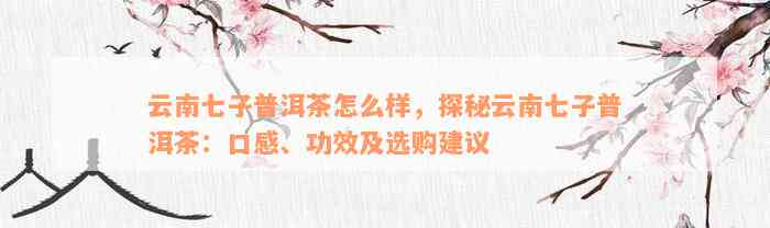 云南七子普洱茶怎么样，探秘云南七子普洱茶：口感、功效及选购建议