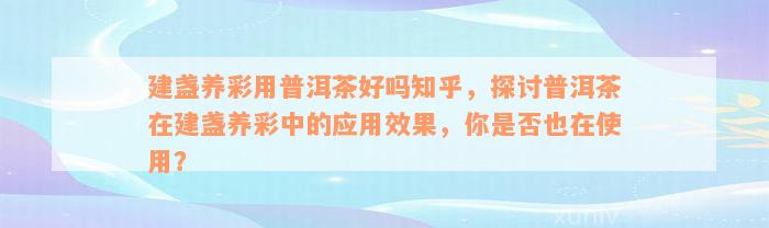 建盏养彩用普洱茶好吗知乎，探讨普洱茶在建盏养彩中的应用效果，你是否也在使用？