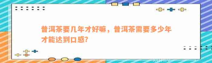 普洱茶要几年才好嘛，普洱茶需要多少年才能达到口感？