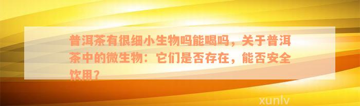 普洱茶有很细小生物吗能喝吗，关于普洱茶中的微生物：它们是否存在，能否安全饮用？