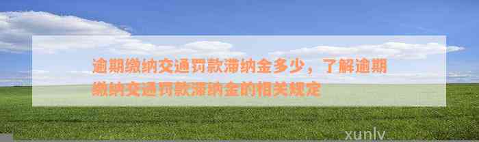 逾期缴纳交通罚款滞纳金多少，了解逾期缴纳交通罚款滞纳金的相关规定