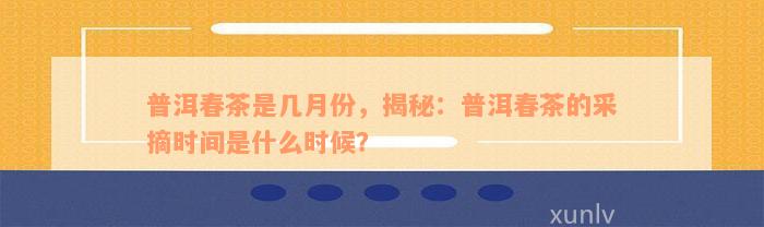 普洱春茶是几月份，揭秘：普洱春茶的采摘时间是什么时候？