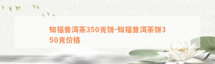 知福普洱茶350克饼-知福普洱茶饼350克价格