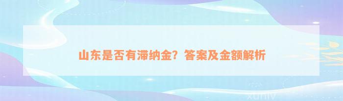 山东是否有滞纳金？答案及金额解析