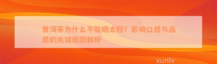 普洱茶为什么不能晒太阳？影响口感与品质的关键原因解析