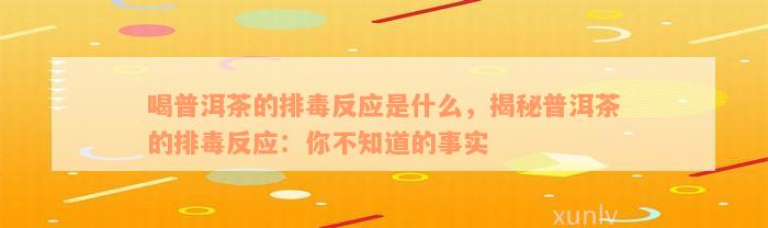 喝普洱茶的排毒反应是什么，揭秘普洱茶的排毒反应：你不知道的事实