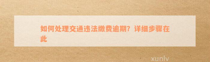 如何处理交通违法缴费逾期？详细步骤在此