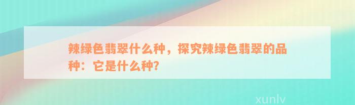 辣绿色翡翠什么种，探究辣绿色翡翠的品种：它是什么种？