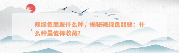 辣绿色翡翠什么种，揭秘辣绿色翡翠：什么种最值得收藏？