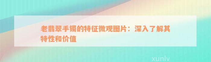 老翡翠手镯的特征微观图片：深入了解其特性和价值