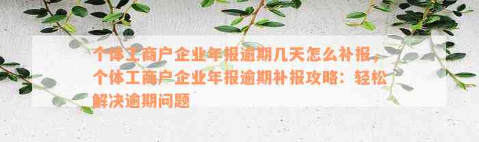 个体工商户企业年报逾期几天怎么补报，个体工商户企业年报逾期补报攻略：轻松解决逾期问题