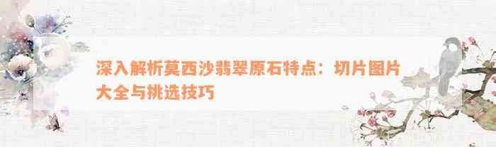 深入解析莫西沙翡翠原石特点：切片图片大全与挑选技巧