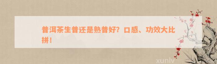 普洱茶生普还是熟普好？口感、功效大比拼！