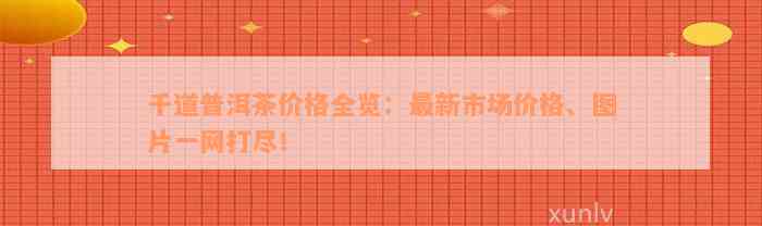 千道普洱茶价格全览：最新市场价格、图片一网打尽！