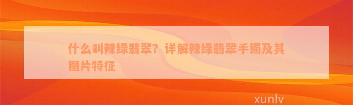 什么叫辣绿翡翠？详解辣绿翡翠手镯及其图片特征