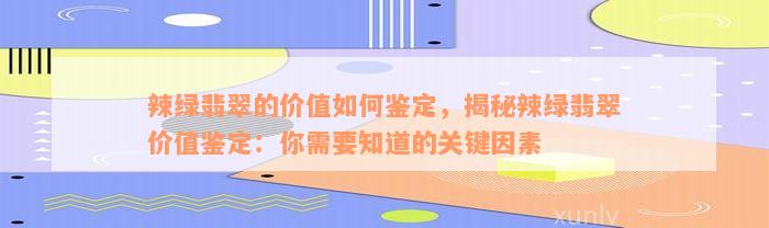 辣绿翡翠的价值如何鉴定，揭秘辣绿翡翠价值鉴定：你需要知道的关键因素