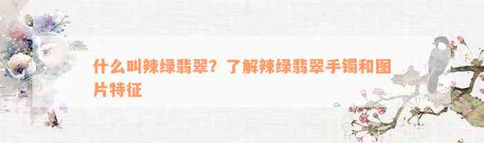 什么叫辣绿翡翠？了解辣绿翡翠手镯和图片特征