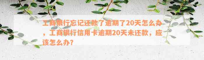 工商银行忘记还款了逾期了20天怎么办，工商银行信用卡逾期20天未还款，应该怎么办？