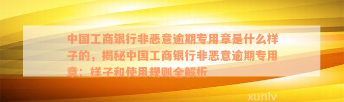 中国工商银行非恶意逾期专用章是什么样子的，揭秘中国工商银行非恶意逾期专用章：样子和使用规则全解析