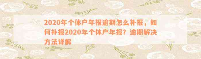 2020年个体户年报逾期怎么补报，如何补报2020年个体户年报？逾期解决方法详解