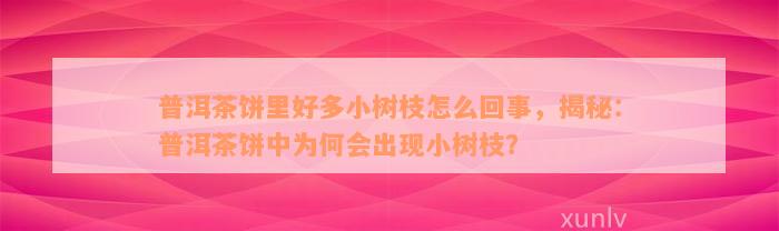 普洱茶饼里好多小树枝怎么回事，揭秘：普洱茶饼中为何会出现小树枝？