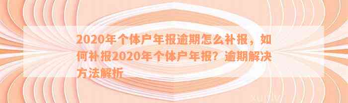 2020年个体户年报逾期怎么补报，如何补报2020年个体户年报？逾期解决方法解析