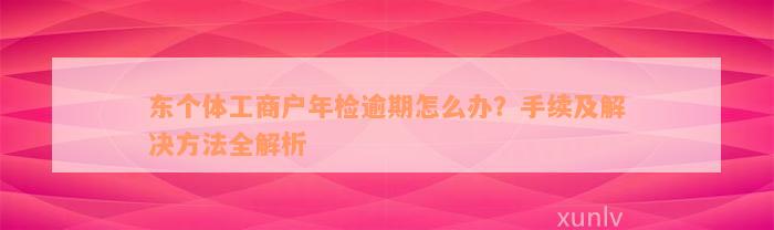 东个体工商户年检逾期怎么办？手续及解决方法全解析