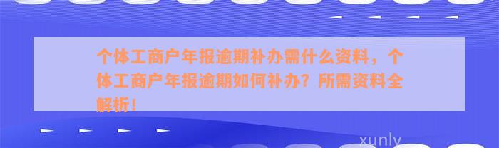 个体工商户年报逾期补办需什么资料，个体工商户年报逾期如何补办？所需资料全解析！