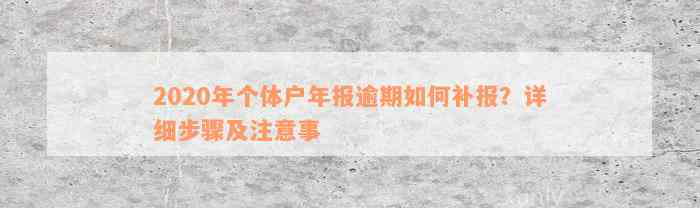 2020年个体户年报逾期如何补报？详细步骤及注意事