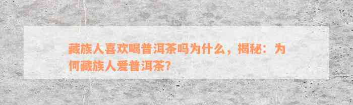 藏族人喜欢喝普洱茶吗为什么，揭秘：为何藏族人爱普洱茶？