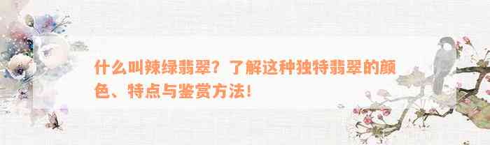 什么叫辣绿翡翠？了解这种独特翡翠的颜色、特点与鉴赏方法！