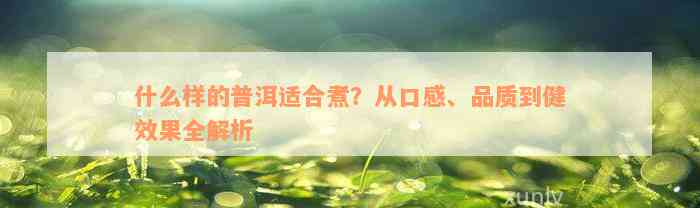 什么样的普洱适合煮？从口感、品质到健效果全解析