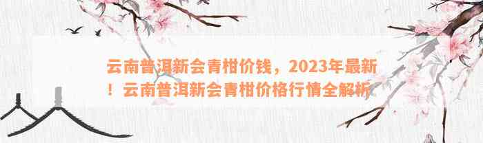 云南普洱新会青柑价钱，2023年最新！云南普洱新会青柑价格行情全解析