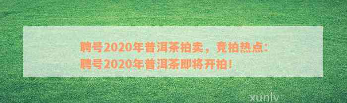 聘号2020年普洱茶拍卖，竞拍热点：聘号2020年普洱茶即将开拍！