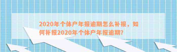 2020年个体户年报逾期怎么补报，如何补报2020年个体户年报逾期？