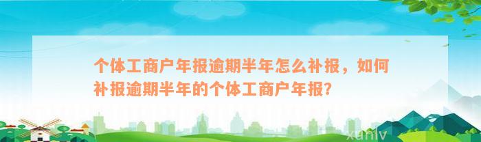 个体工商户年报逾期半年怎么补报，如何补报逾期半年的个体工商户年报？