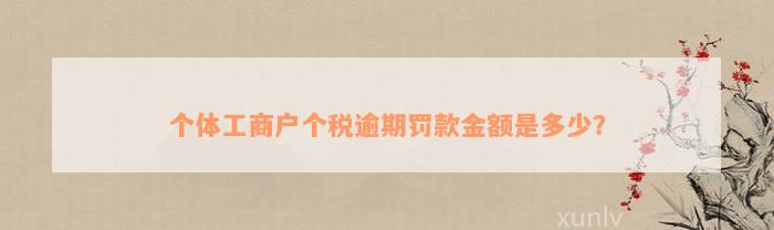 个体工商户个税逾期罚款金额是多少？