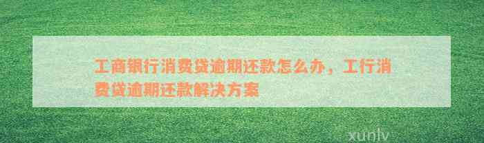 工商银行消费贷逾期还款怎么办，工行消费贷逾期还款解决方案