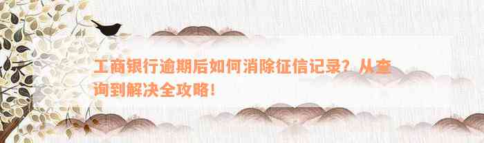 工商银行逾期后如何消除征信记录？从查询到解决全攻略！