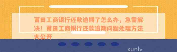 莆田工商银行还款逾期了怎么办，急需解决！莆田工商银行还款逾期问题处理方法大公开