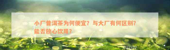 小厂普洱茶为何便宜？与大厂有何区别？能否放心饮用？