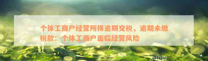 个体工商户经营所得逾期交税，逾期未缴税款：个体工商户面临经营风险